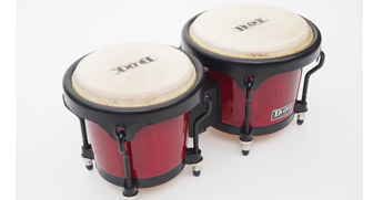 backline, musical instrument, bongos, congas, hire, rent, adelaidel